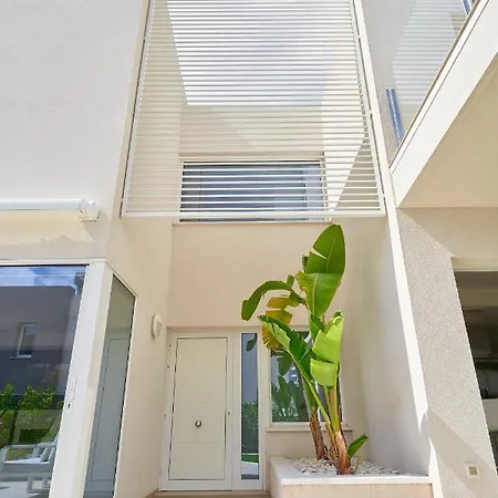 Flamencos Rosas, Costa Adeje * 플라야 파라이소