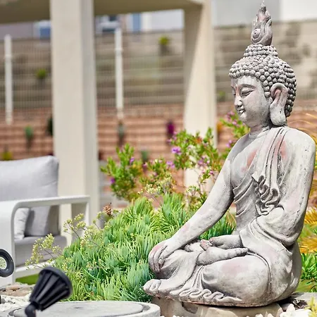 Flamencos Rosas, Costa Adeje 빌라 플라야 파라이소