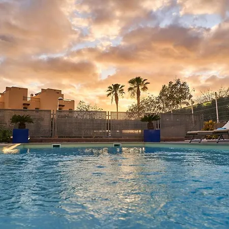 Flamencos Rosas, Costa Adeje *