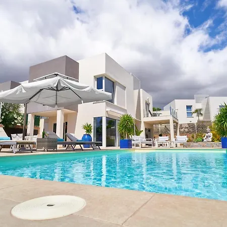 Flamencos Rosas, Costa Adeje 플라야 파라이소